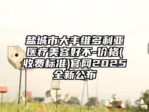 盐城市大丰维多利亚医疗美容好不-价格(收费标准)官网2025全新公布