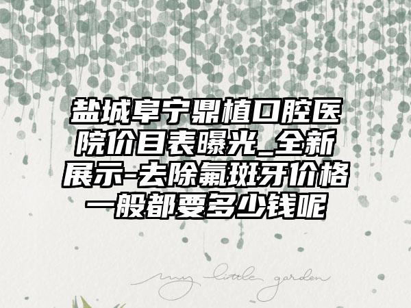 盐城阜宁鼎植口腔医院价目表曝光_全新展示-去除氟斑牙价格一般都要多少钱呢