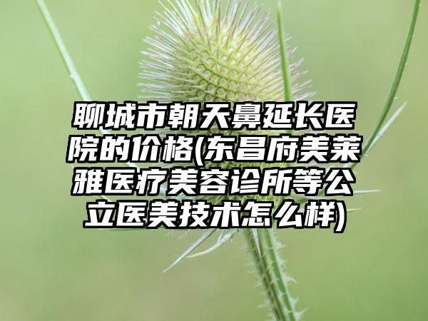 聊城市朝天鼻延长医院的价格(东昌府美莱雅医疗美容诊所等公立医美技术怎么样)