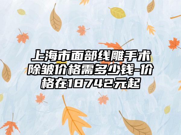 上海市面部线雕手术除皱价格需多少钱-价格在18742元起