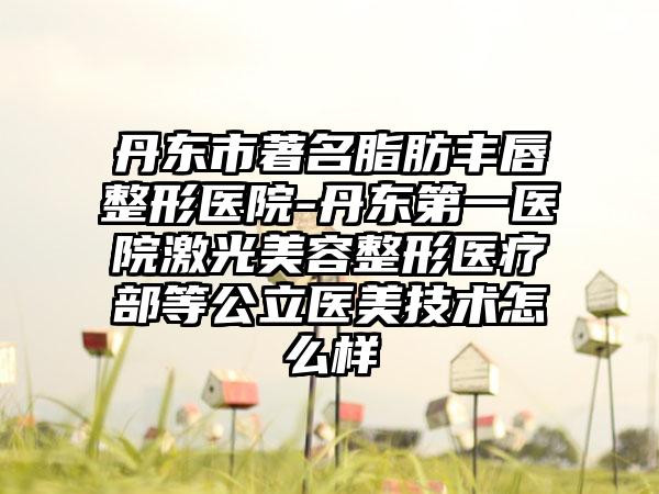 丹东市著名脂肪丰唇整形医院-丹东第一医院激光美容整形医疗部等公立医美技术怎么样