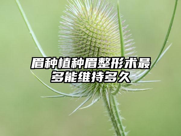 眉种植种眉整形术最多能维持多久