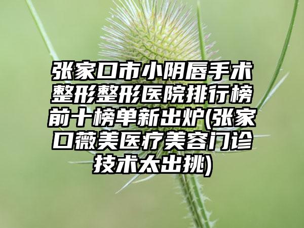 张家口市小阴唇手术整形整形医院排行榜前十榜单新出炉(张家口薇美医疗美容门诊技术太出挑)