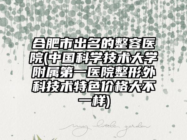 合肥市出名的整容医院(中国科学技术大学附属第一医院整形外科技术特色价格大不一样)