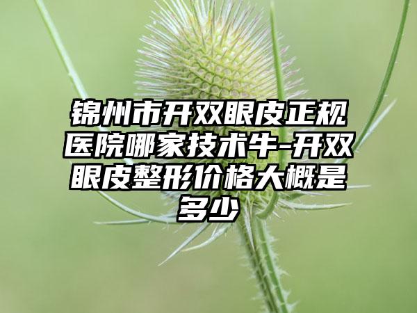 锦州市开双眼皮正规医院哪家技术牛-开双眼皮整形价格大概是多少