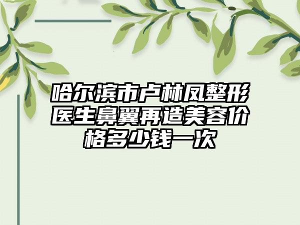 哈尔滨市卢林凤整形医生鼻翼再造美容价格多少钱一次