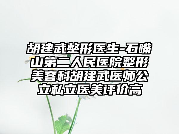 胡建武整形医生-石嘴山第二人民医院整形美容科胡建武医师公立私立医美评价高