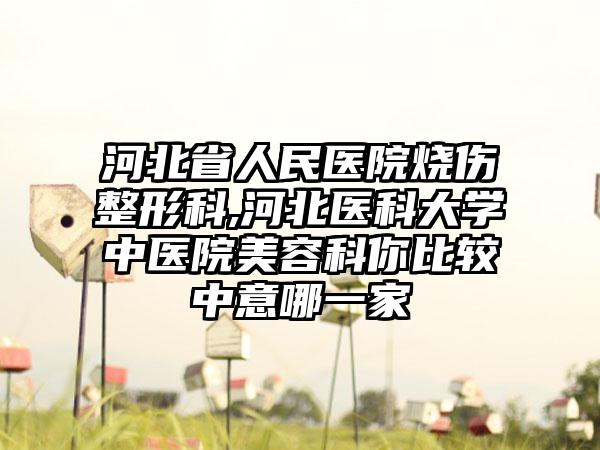 河北省人民医院烧伤整形科,河北医科大学中医院美容科你比较中意哪一家