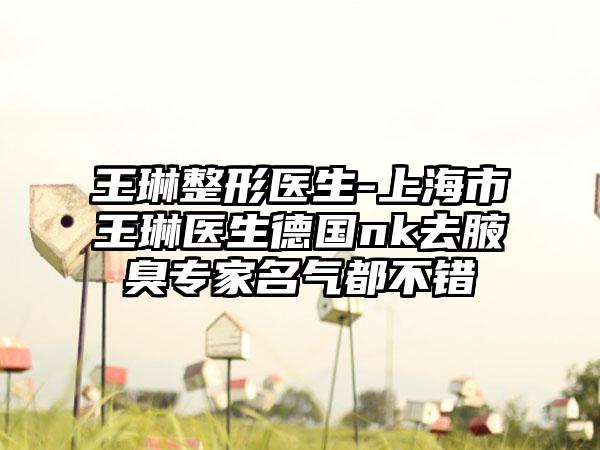 王琳整形医生-上海市王琳医生德国nk去腋臭专家名气都不错
