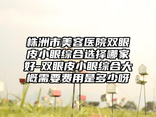 株洲市美容医院双眼皮小眼综合选择哪家好-双眼皮小眼综合大概需要费用是多少呀
