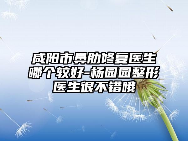 咸阳市鼻肋修复医生哪个较好-杨园园整形医生很不错哦