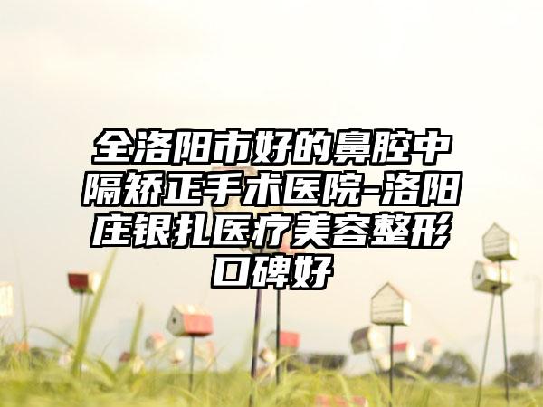 全洛阳市好的鼻腔中隔矫正手术医院-洛阳庄银扎医疗美容整形口碑好