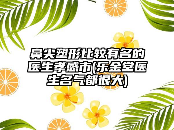 鼻尖塑形比较有名的医生孝感市(乐金堂医生名气都很大)