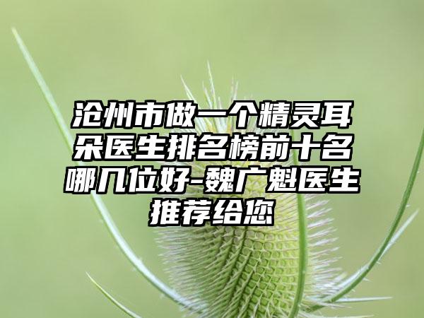 沧州市做一个精灵耳朵医生排名榜前十名哪几位好-魏广魁医生推荐给您