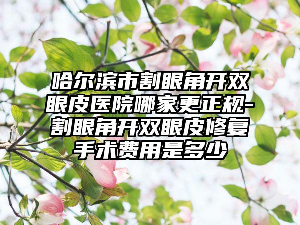 哈尔滨市割眼角开双眼皮医院哪家更正规-割眼角开双眼皮修复手术费用是多少