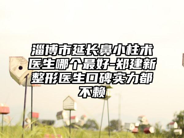 淄博市延长鼻小柱术医生哪个最好-郑建新整形医生口碑实力都不赖