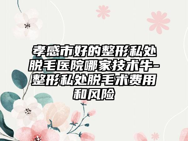 孝感市好的整形私处脱毛医院哪家技术牛-整形私处脱毛术费用和风险