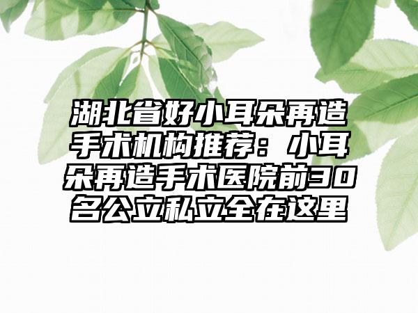 湖北省好小耳朵再造手术机构推荐：小耳朵再造手术医院前30名公立私立全在这里