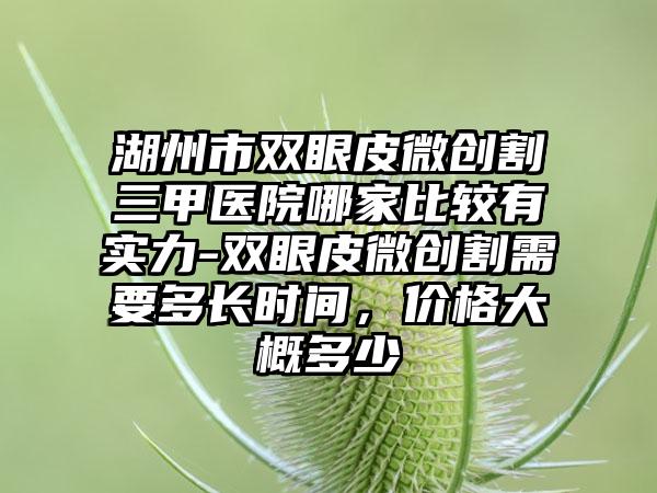 湖州市双眼皮微创割三甲医院哪家比较有实力-双眼皮微创割需要多长时间，价格大概多少
