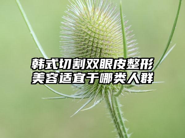 韩式切割双眼皮整形美容适宜于哪类人群