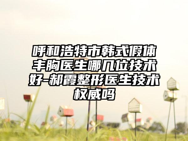 呼和浩特市韩式假体丰胸医生哪几位技术好-郝霞整形医生技术权威吗