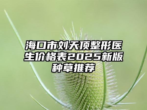 海口市刘天顶整形医生价格表2025新版种草推荐