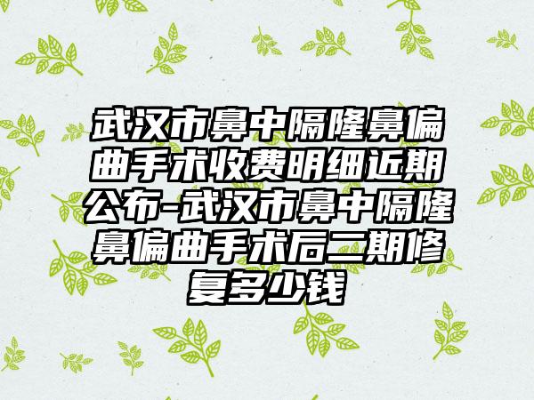 武汉市鼻中隔隆鼻偏曲手术收费明细近期公布-武汉市鼻中隔隆鼻偏曲手术后二期修复多少钱