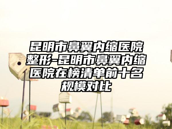 昆明市鼻翼内缩医院整形-昆明市鼻翼内缩医院在榜清单前十名规模对比