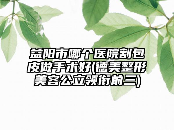 益阳市哪个医院割包皮做手术好(德美整形美容公立领衔前三)