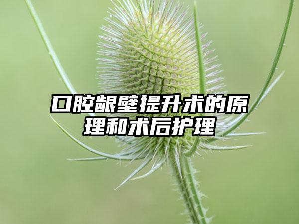 口腔龈壁提升术的原理和术后护理
