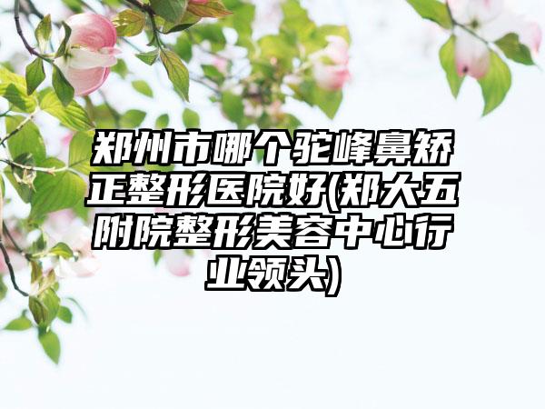 郑州市哪个驼峰鼻矫正整形医院好(郑大五附院整形美容中心行业领头)