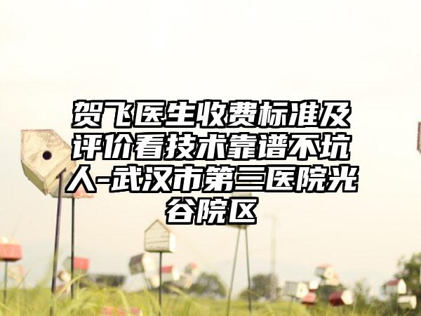 贺飞医生收费标准及评价看技术靠谱不坑人-武汉市第三医院光谷院区