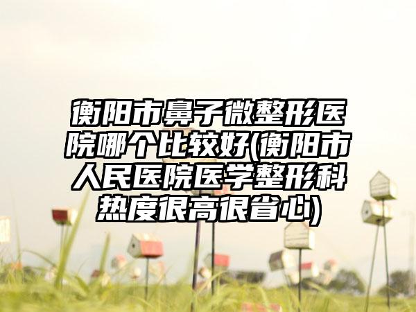 衡阳市鼻子微整形医院哪个比较好(衡阳市人民医院医学整形科热度很高很省心)