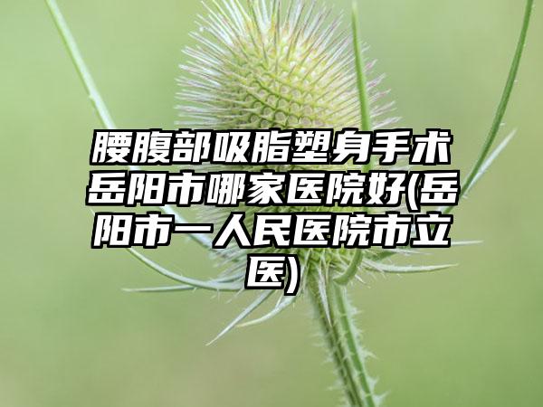 腰腹部吸脂塑身手术岳阳市哪家医院好(岳阳市一人民医院市立医)