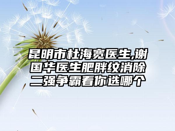 昆明市杜海宽医生,谢国华医生肥胖纹消除二强争霸看你选哪个
