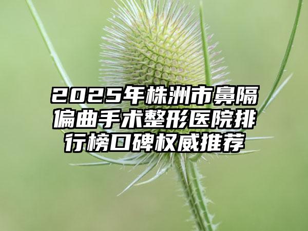 2025年株洲市鼻隔偏曲手术整形医院排行榜口碑权威推荐
