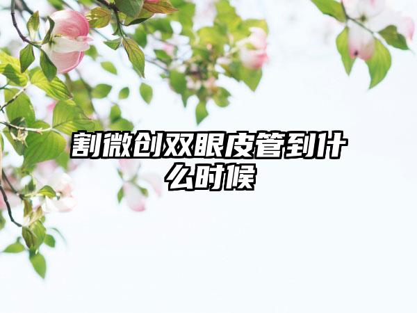 割微创双眼皮管到什么时候