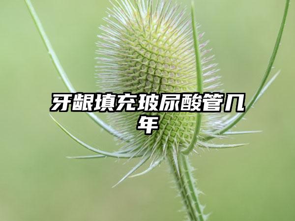 牙龈填充玻尿酸管几年