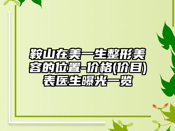 鞍山在美一生整形美容的位置-价格(价目)表医生曝光一览