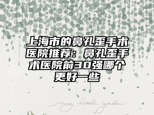 上海市的鼻孔歪手术医院推荐：鼻孔歪手术医院前30强哪个更好一些