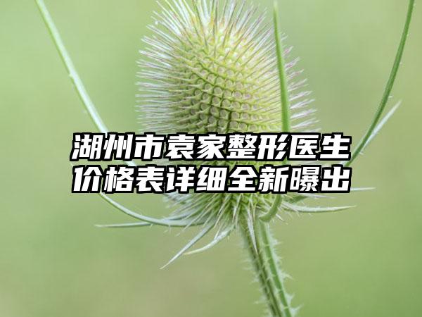 湖州市袁家整形医生价格表详细全新曝出