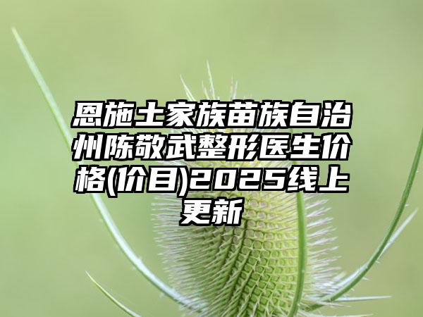 恩施土家族苗族自治州陈敬武整形医生价格(价目)2025线上更新