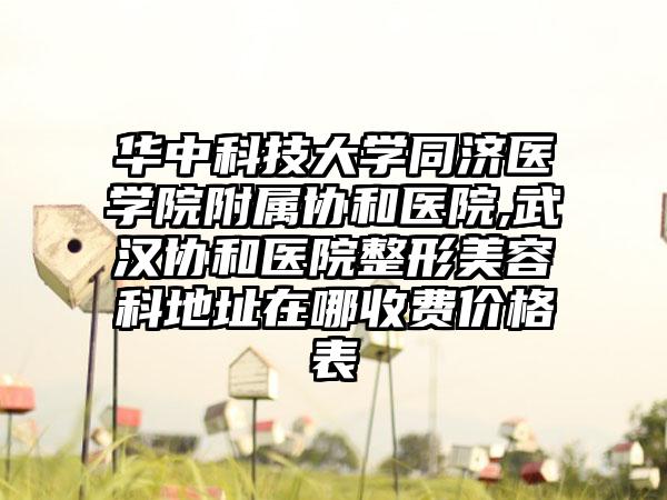 华中科技大学同济医学院附属协和医院,武汉协和医院整形美容科地址在哪收费价格表