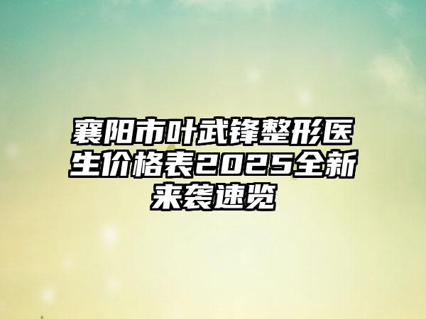 襄阳市叶武锋整形医生价格表2025全新来袭速览