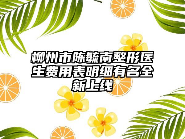 柳州市陈毓南整形医生费用表明细有名全新上线