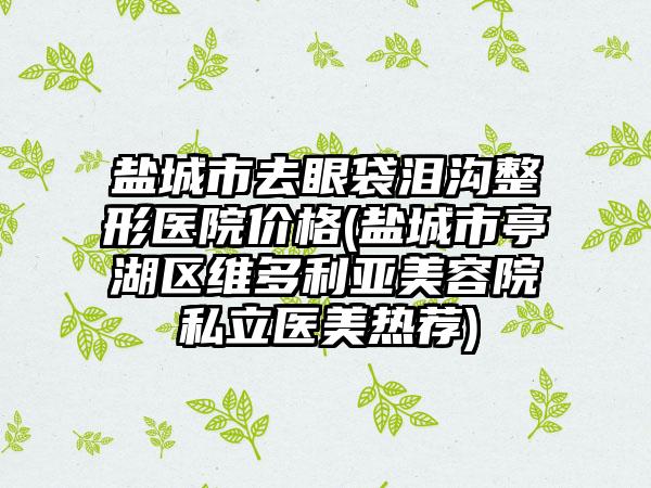 盐城市去眼袋泪沟整形医院价格(盐城市亭湖区维多利亚美容院私立医美热荐)