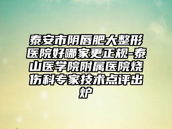 泰安市阴唇肥大整形医院好哪家更正规-泰山医学院附属医院烧伤科专家技术点评出炉
