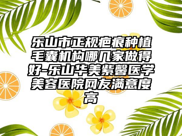 乐山市正规疤痕种植毛囊机构哪几家做得好-乐山华美紫馨医学美容医院网友满意度高