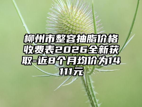 柳州市整容抽脂价格收费表2026全新获取-近8个月均价为14111元