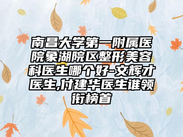 南昌大学第一附属医院象湖院区整形美容科医生哪个好-文辉才医生,付建华医生谁领衔榜首